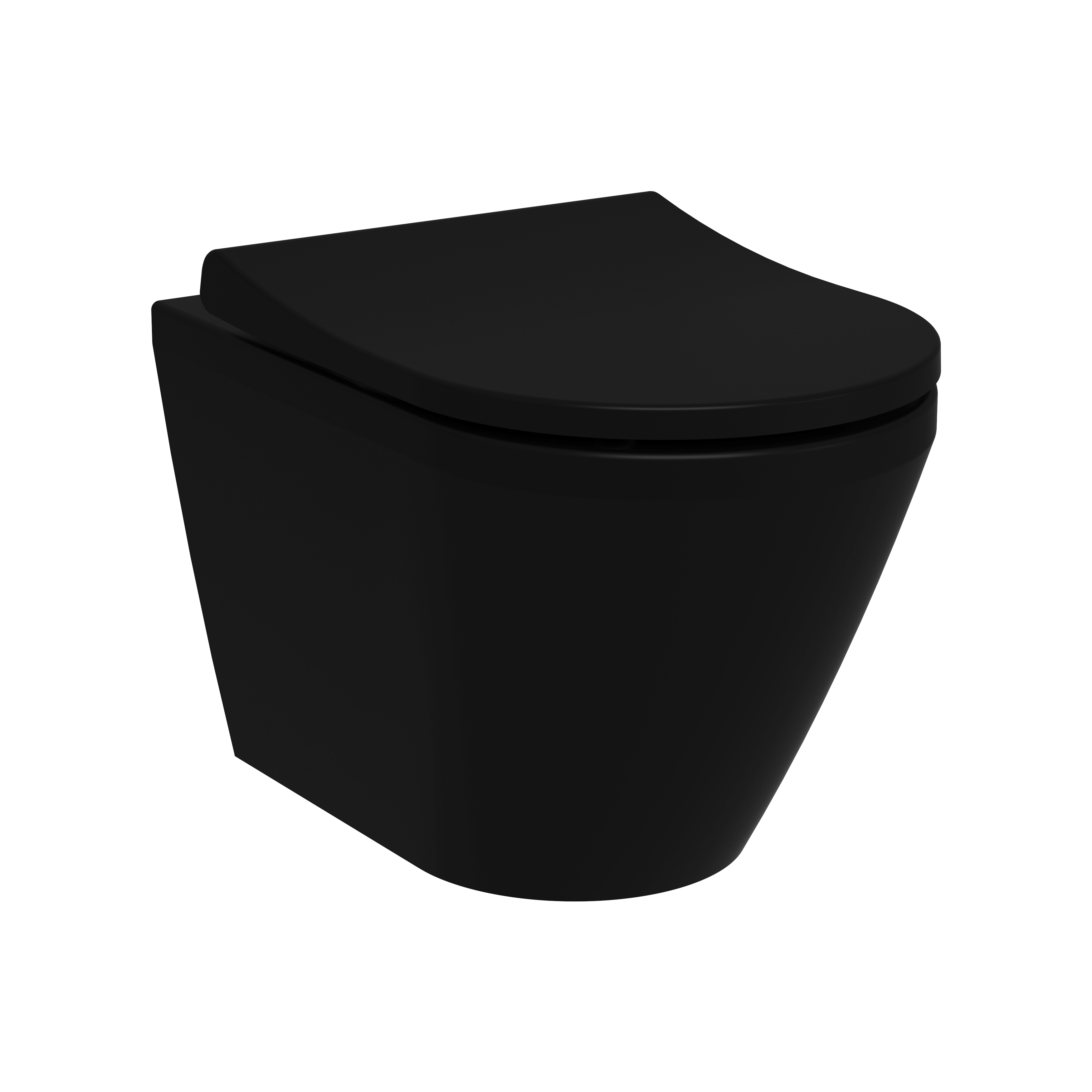 Vitra Integra Round Rim-Ex Wandcloset Mat Zwart