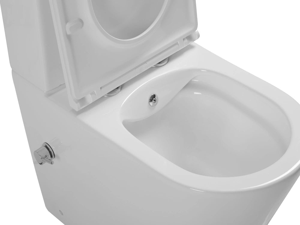 Dutchline - Lux Luccio Rimless (Pk) Duoblok + Softclose Ondiep Zitting - Met Bidet