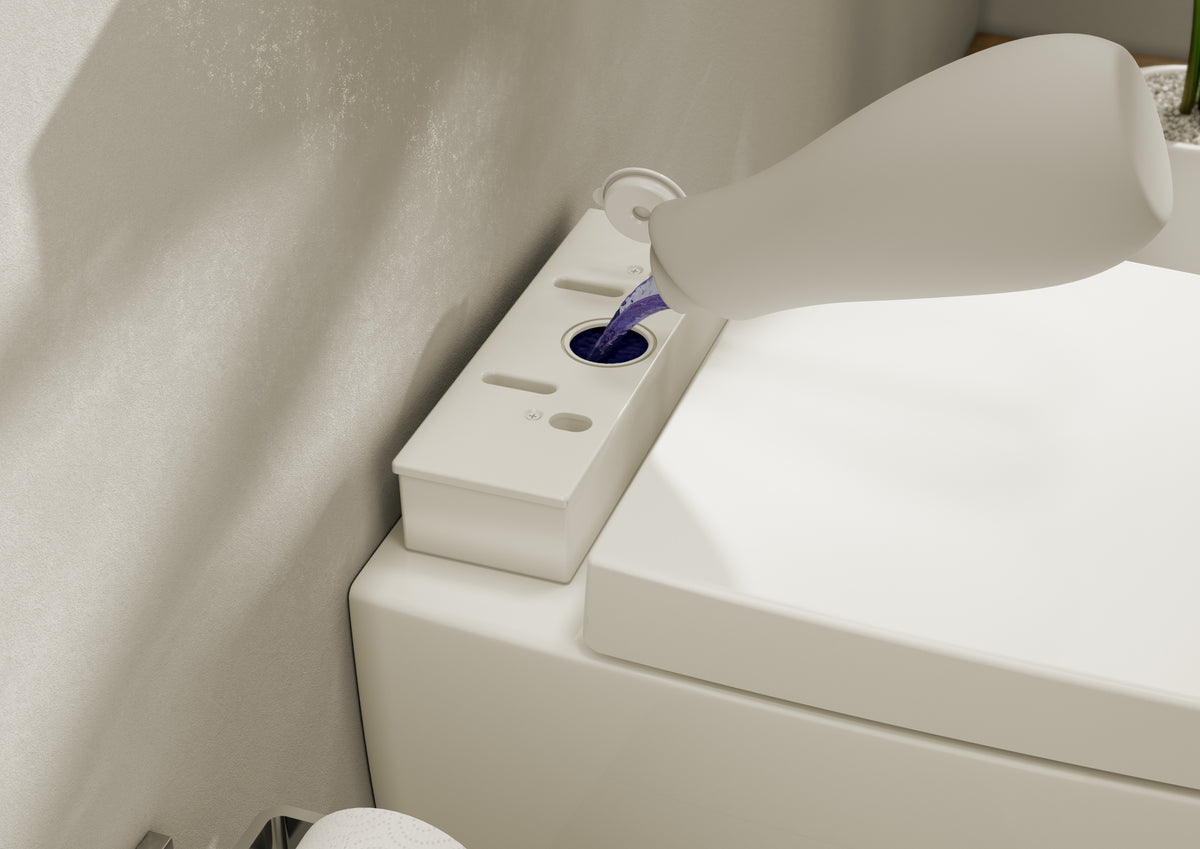 Digital Assets - Ambiance Image